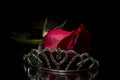Red rose and tiara