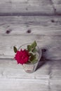 Red rose tiny flower on a glass vase on a wooden surface Royalty Free Stock Photo