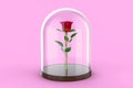 Red Rose Under Glass Dome - Beauty and the Beast Concept 3D Illustration Royalty Free Stock Photo