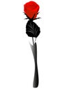 Red rose in a vase, a design element. Royalty Free Stock Photo