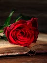 Red rose on a vintage book on dark background. Vertical, close up view Royalty Free Stock Photo