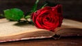 Red rose on a vintage book on dark background Royalty Free Stock Photo