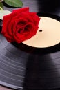 Red rose on vinyl record. Royalty Free Stock Photo