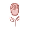 Red rose volumetric flower with texture icon vector illustration