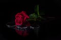A Red Rose With Water Droplets And A Hematite And Garnet Necklace On A Dark Background.