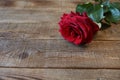 Red rose with water drops on a wooden rustic background with copy space for text Royalty Free Stock Photo