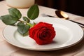Red rose on white dish on wooden background. Love concept Royalty Free Stock Photo