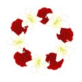 Red Rose and White Lily Flower Christmas Wreath. Vector Illustration Royalty Free Stock Photo