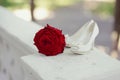 Red rose and white shoes Royalty Free Stock Photo