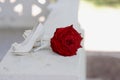 Red rose and white shoes Royalty Free Stock Photo