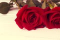 Red rose on a white wood background Royalty Free Stock Photo