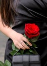 red rose in woman's hand .