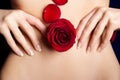 Red rosebud and petals on female's skin Royalty Free Stock Photo