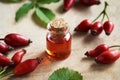 Red rosehip seed oil with fresh rose hips on a table Royalty Free Stock Photo