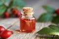 Red rosehip seed oil with fresh rose hips on a table Royalty Free Stock Photo