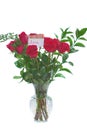 Red roses. Royalty Free Stock Photo