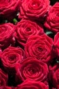 Red roses