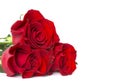 Red roses