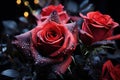 Red roses amidst stardust and celestial beauty, valentine, dating and love proposal image