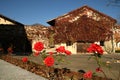 Red roses during autumn season at Novacella Abbey near Bolzano, Italy.