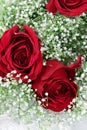 Red Roses and Babys Breath