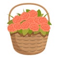 Red roses basket icon cartoon vector. Season botany gift Royalty Free Stock Photo