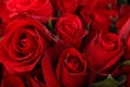 Red roses