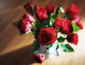 red roses beauty flowers bouquet sunlight indoors table