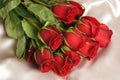 Red Roses on Beige Satin