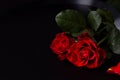 Red roses on a black background.