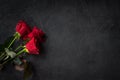 Red roses on a black background top view. Fresh, bright bouquet with drops of dew Royalty Free Stock Photo