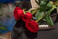 Red roses on black guitar. Royalty Free Stock Photo