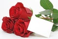 Red roses with a blank note Royalty Free Stock Photo