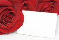 Red roses with a blank note Royalty Free Stock Photo