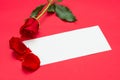 Red roses with a blank note Royalty Free Stock Photo