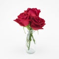 Red roses bouquet in glass vase