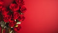 Red roses bouquet on pastel backgroundvalentines, birthdays, womens dayflat lay with copy space Royalty Free Stock Photo