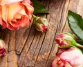 Red roses bouquet with petals on wooden backdrop Royalty Free Stock Photo