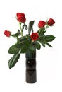 Red roses bouquet Royalty Free Stock Photo