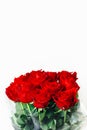 Red roses bouquet on white background Royalty Free Stock Photo