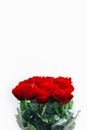 Red roses bouquet on white background Royalty Free Stock Photo