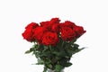 Red roses bouquet on white background, fifteen flowers Royalty Free Stock Photo