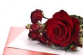 Red Roses and Card