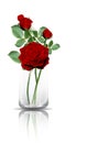 Red roses in clear glass