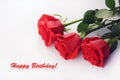 Red roses closeup. Beautiful bouquet. Happy Birthday card Royalty Free Stock Photo