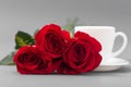 Red roses with a coffee cup of white color on a gray background Royalty Free Stock Photo