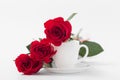 Red roses with coffee cup of white color on a white background. Royalty Free Stock Photo