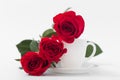 Red roses with coffee cup of white color on a white background. Royalty Free Stock Photo