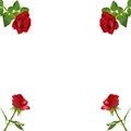 RED ROSES CORNERS BACKGROUND