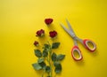 Red roses cut with sharp scissors. Royalty Free Stock Photo